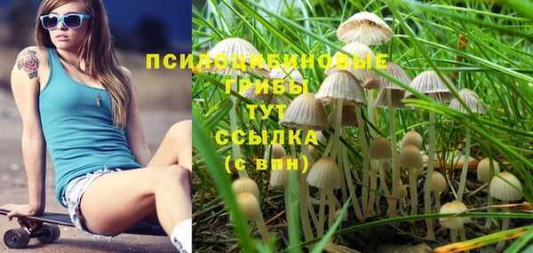 СК Алексеевка