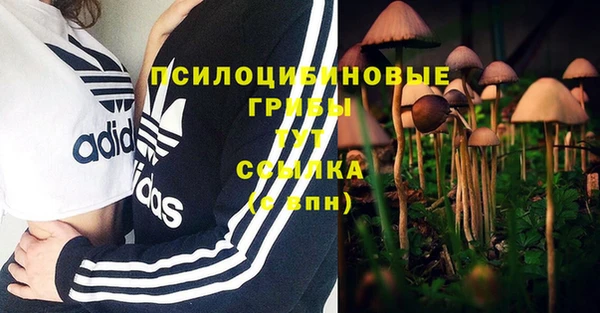 меф Алзамай